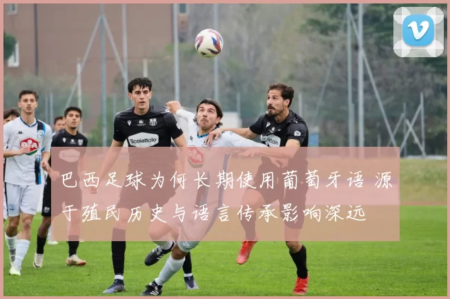 巴西足球为何长期使用葡萄牙语 源于殖民历史与语言传承影响深远