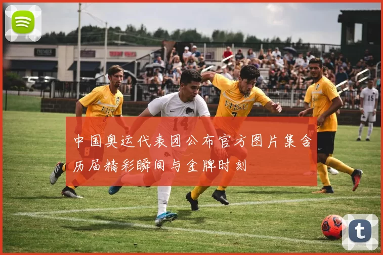 中国奥运代表团公布官方图片集含历届精彩瞬间与金牌时刻