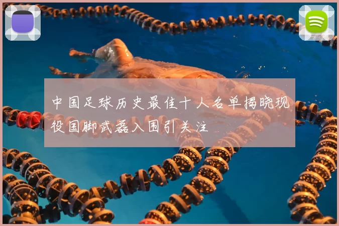 中国足球历史最佳十人名单揭晓现役国脚武磊入围引关注