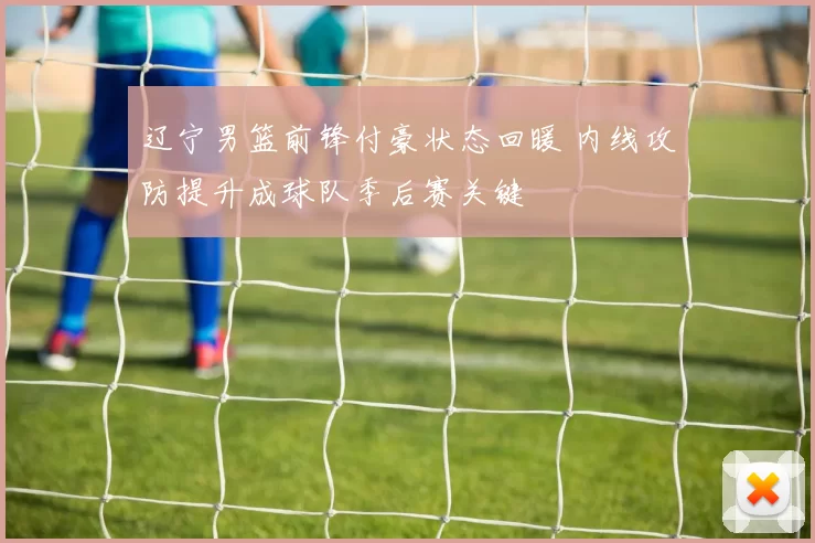 辽宁男篮前锋付豪状态回暖 内线攻防提升成球队季后赛关键