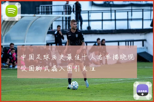 中国足球历史最佳十人名单揭晓现役国脚武磊入围引关注